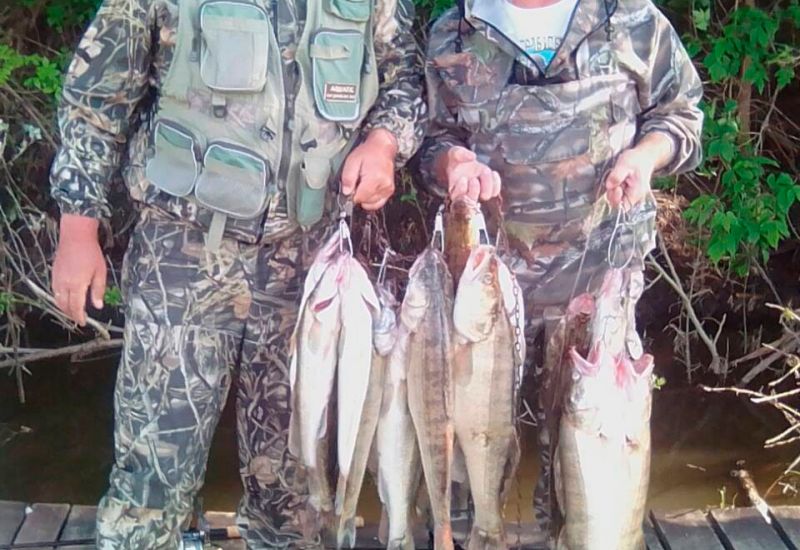 Сопровождающий егерь: Урасов Владимир