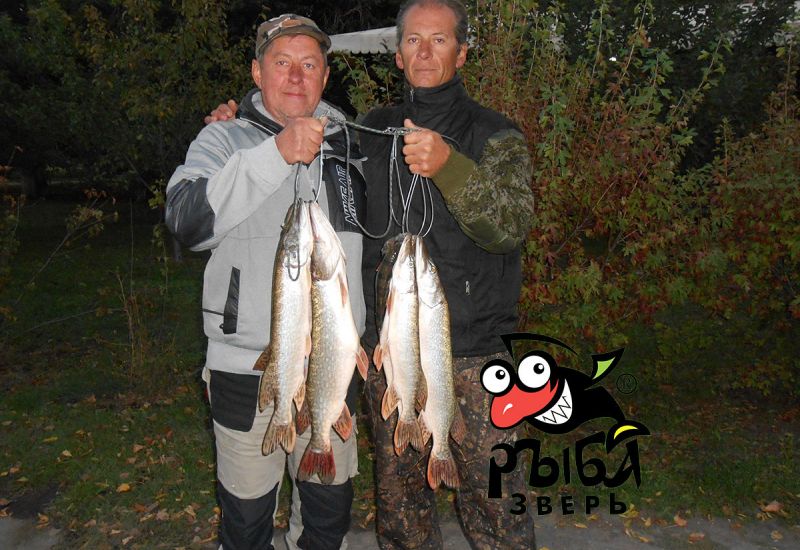 Осень на дону, кто не знает Анатолия?