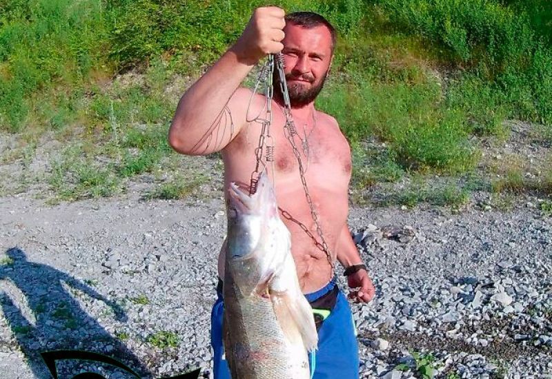 Судак в начале осени на Дону