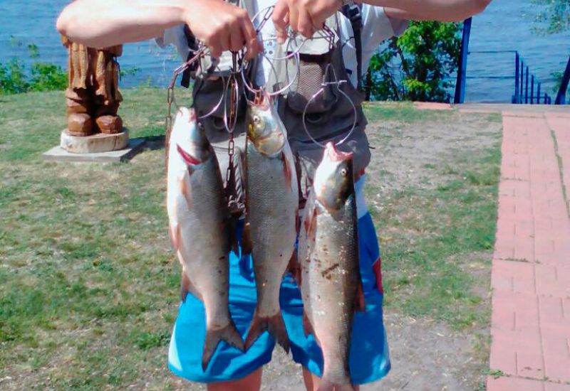 Воробьев Алексей