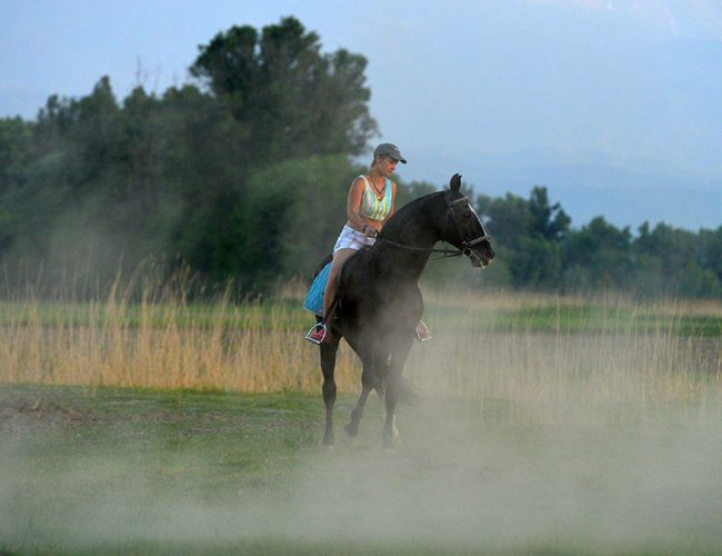 Прогулка на лошади