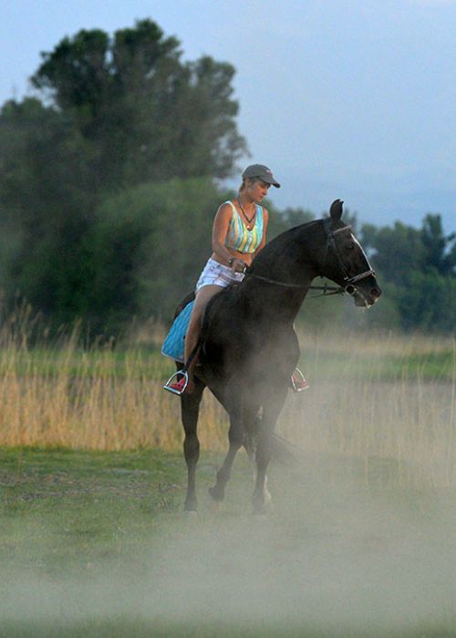 Прогулка на лошади