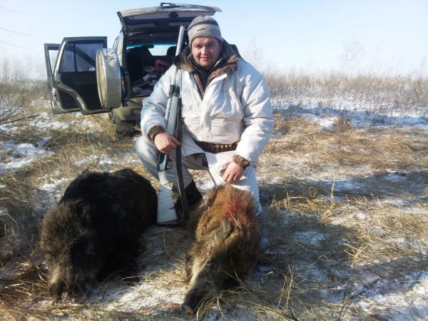 Охота на кабана