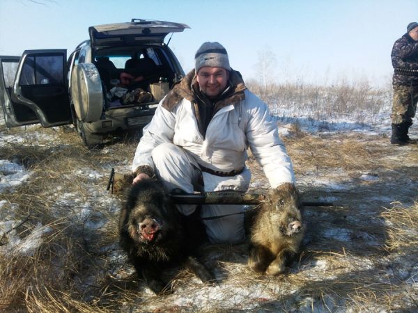 Охота на кабана