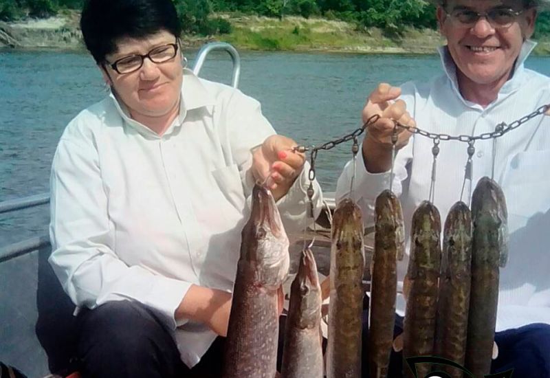 Ловля рыбы на Дону