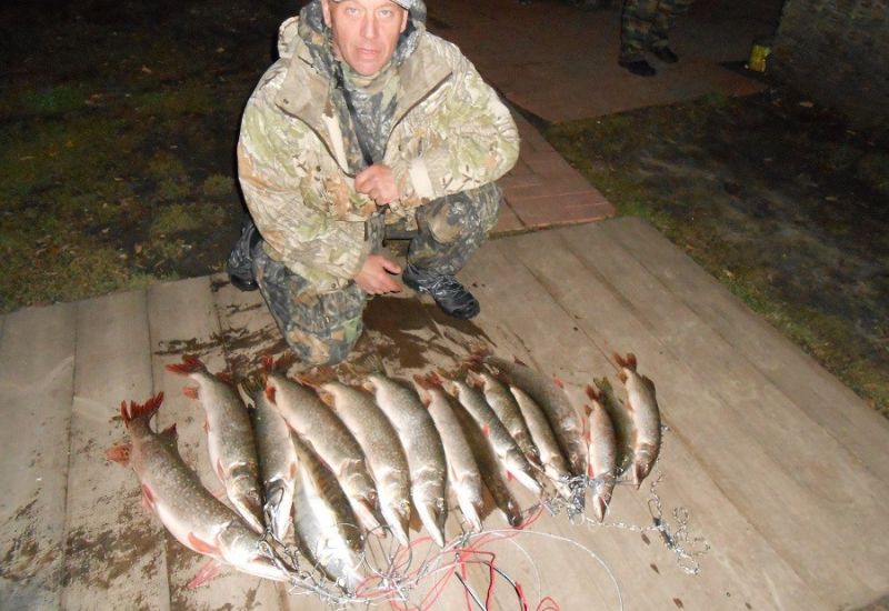 сопровождающий егерь: Алешин Григорий