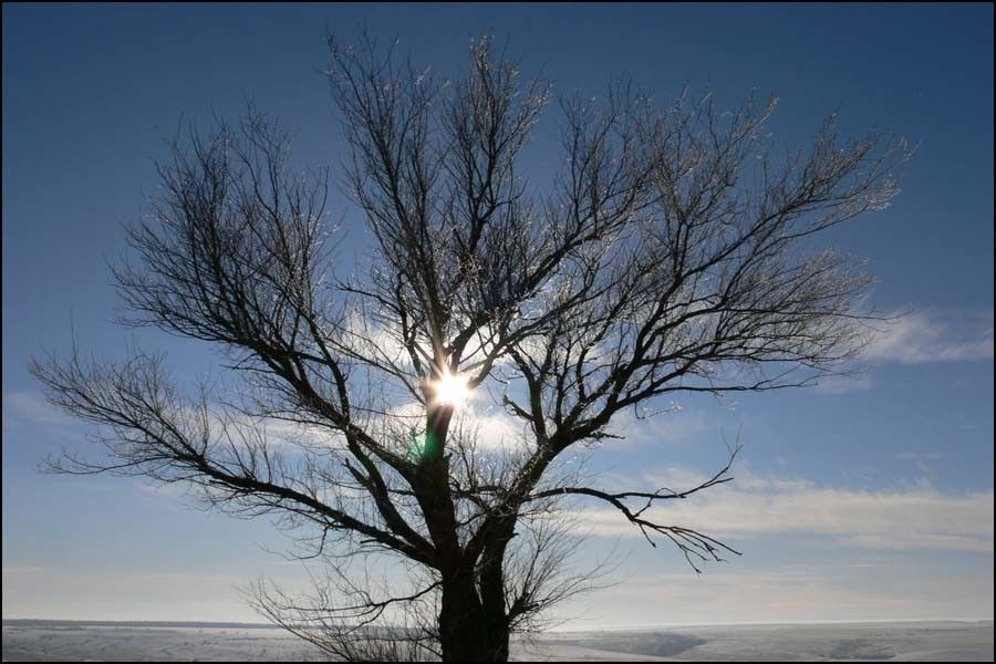 Нижне-Хоперский природный парк