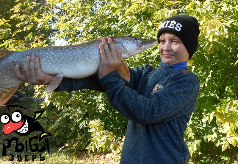 30.09.2108 Донская щука