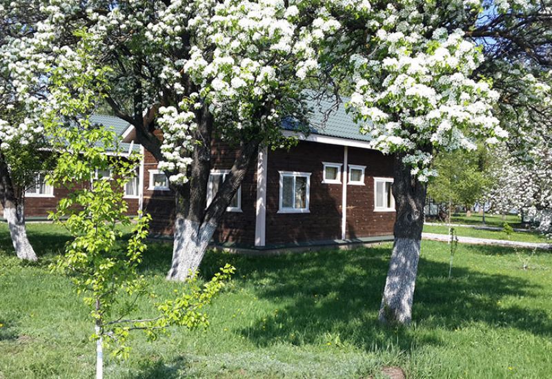 Дон в цвету!