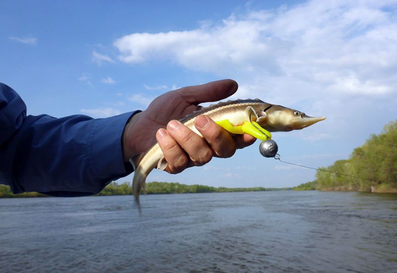 Отпущена, как и следует.
