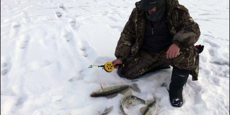 Зимняя рыбалка на Дону - судаки